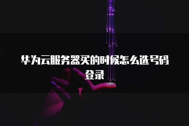 华为云服务器买的时候怎么选号码登录