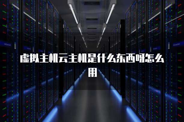 虚拟主机云主机是什么东西呀怎么用