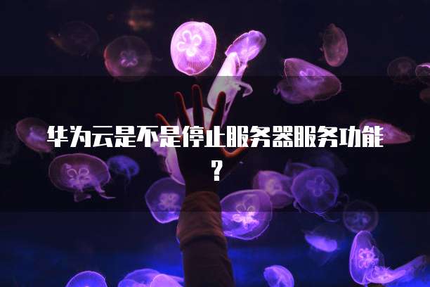 华为云是不是停止服务器服务功能？