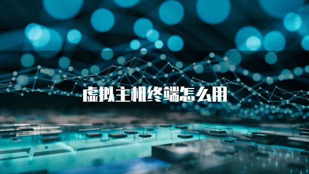 虚拟主机终端怎么用