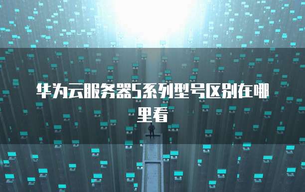 华为云服务器S系列型号区别在哪里看