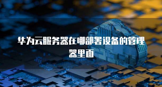 华为云服务器在哪部署设备的管理器里面