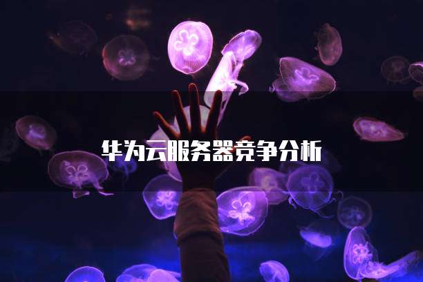 华为云服务器竞争分析