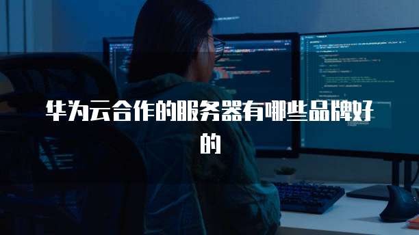 华为云合作的服务器有哪些品牌好的