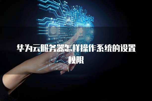 华为云服务器怎样操作系统的设置权限
