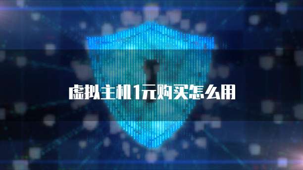 虚拟主机1元购买怎么用