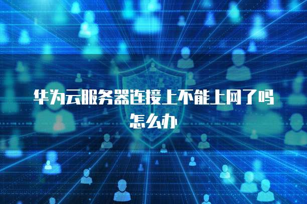 华为云服务器连接上不能上网了吗怎么办