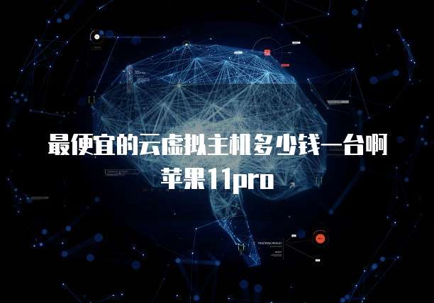 最便宜的云虚拟主机多少钱一台啊苹果11pro