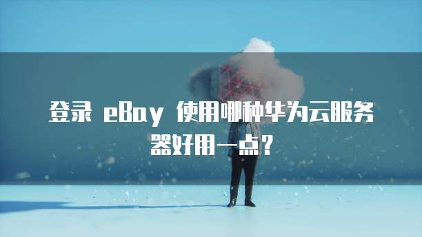 登录 eBay 使用哪种华为云服务器好用一点？
