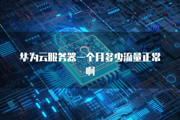 华为云服务器一个月多少流量正常啊