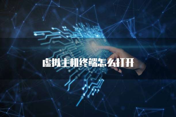 虚拟主机终端怎么打开
