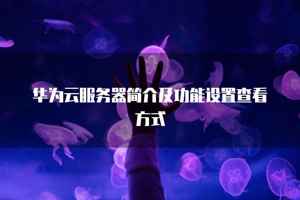 华为云服务器简介及功能设置查看方式