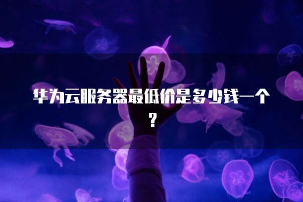 华为云服务器最低价是多少钱一个？