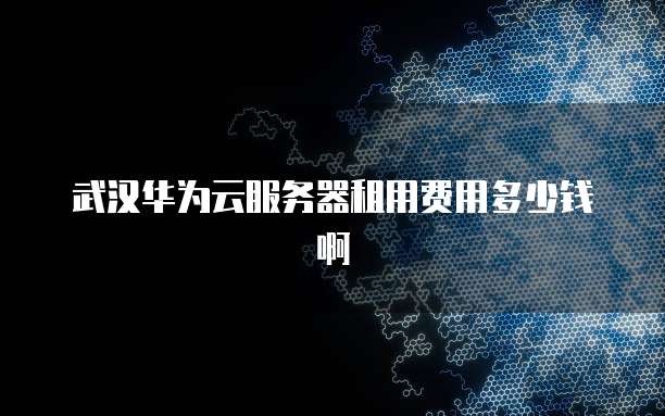 武汉华为云服务器租用费用多少钱啊