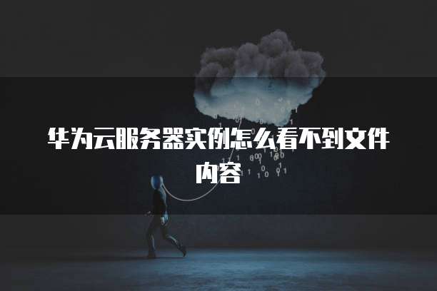 华为云服务器实例怎么看不到文件内容