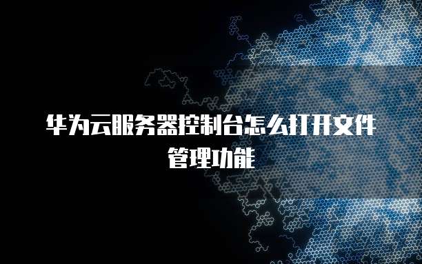 华为云服务器控制台怎么打开文件管理功能