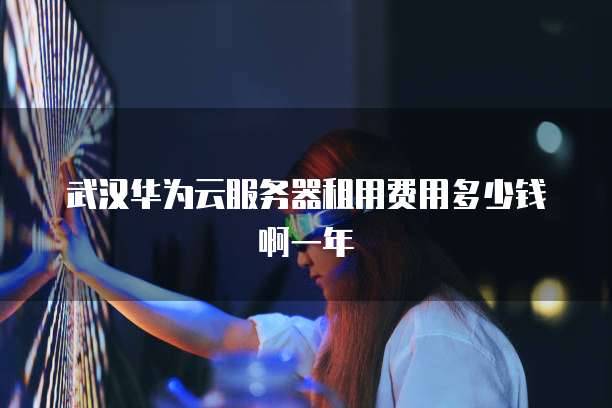 武汉华为云服务器租用费用多少钱啊一年