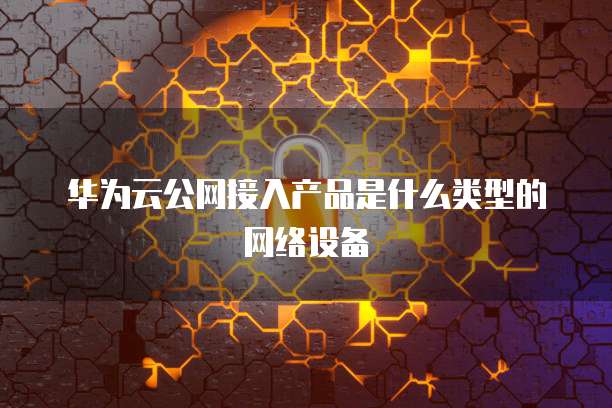 华为云公网接入产品是什么类型的网络设备