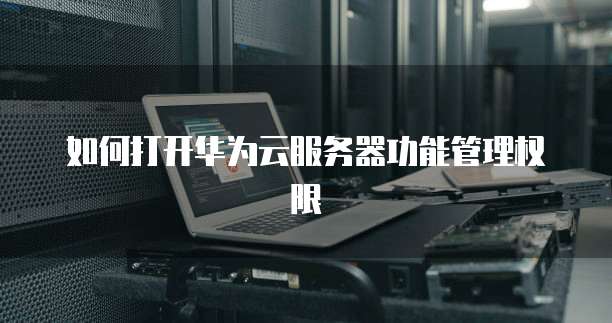 如何打开华为云服务器功能管理权限