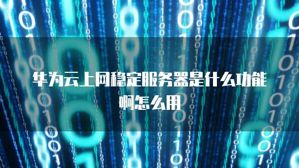 华为云上网稳定服务器是什么功能啊怎么用