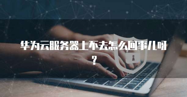 华为云服务器上不去怎么回事儿呀？