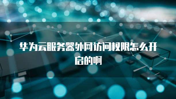 华为云服务器外网访问权限怎么开启的啊