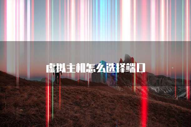 虚拟主机怎么选择端口