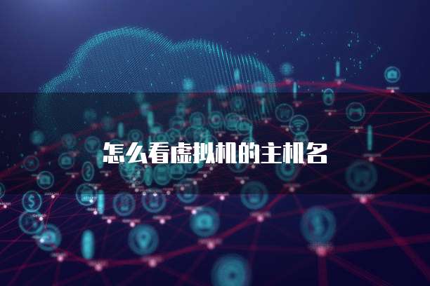怎么看虚拟机的主机名