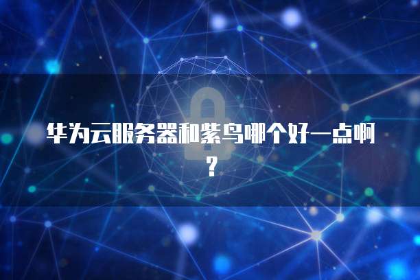 华为云服务器和紫鸟哪个好一点啊？