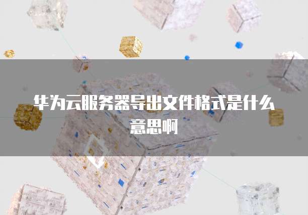 华为云服务器导出文件格式是什么意思啊