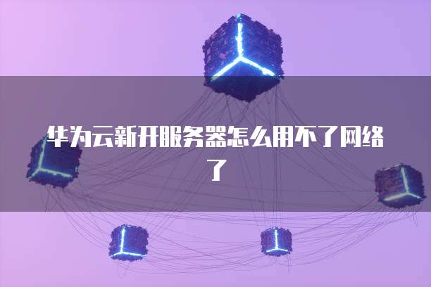 华为云新开服务器怎么用不了网络了