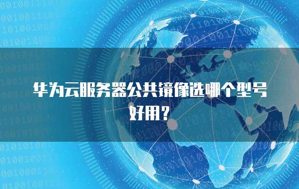 华为云服务器公共镜像选哪个型号好用？