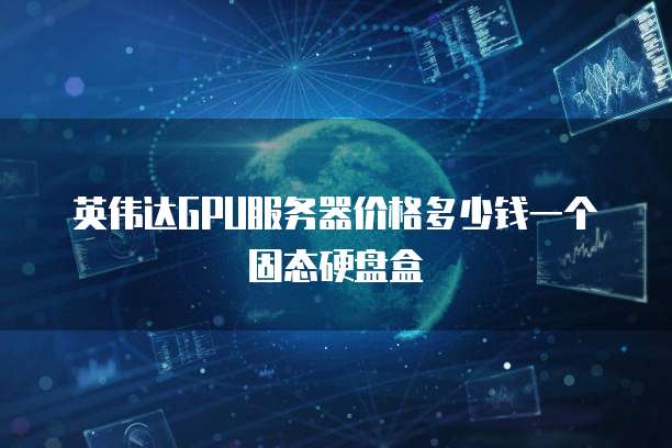 英伟达GPU服务器价格多少钱一个固态硬盘盒