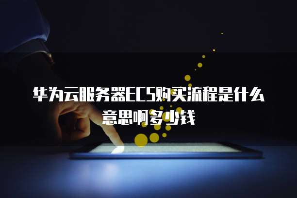 华为云服务器ECS购买流程是什么意思啊多少钱