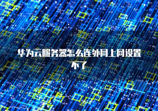 华为云服务器怎么连外网上网设置不了
