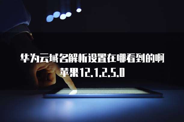 华为云域名解析设置在哪看到的啊苹果12.1.2.5.0