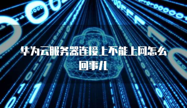 华为云服务器连接上不能上网怎么回事儿