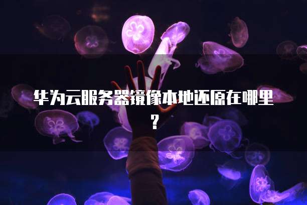 华为云服务器镜像本地还原在哪里？