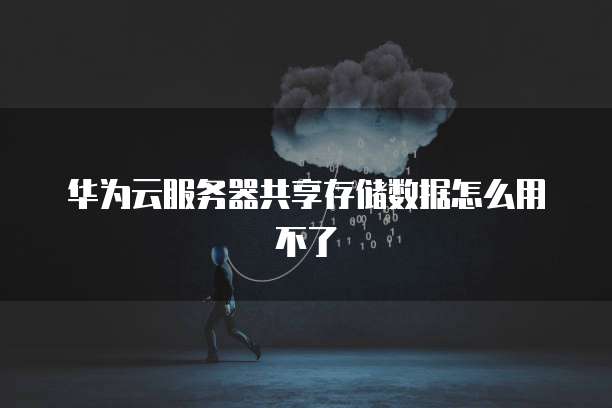 华为云服务器共享存储数据怎么用不了