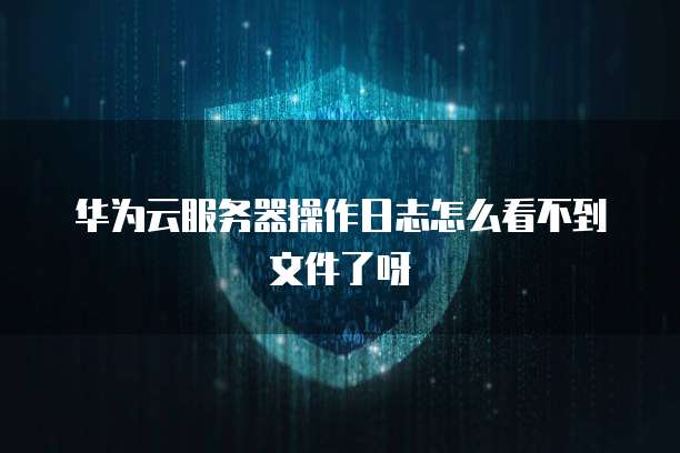 华为云服务器操作日志怎么看不到文件了呀