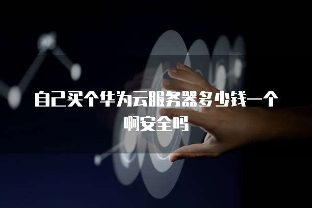 自己买个华为云服务器多少钱一个啊安全吗