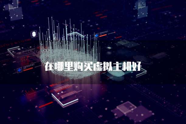 在哪里购买虚拟主机好