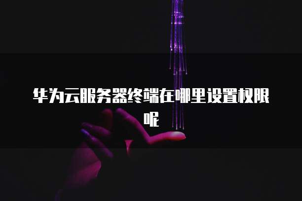 华为云服务器终端在哪里设置权限呢