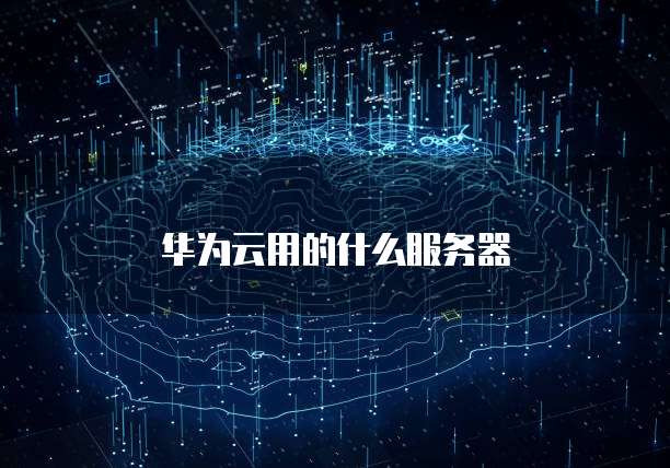 华为云用的什么服务器