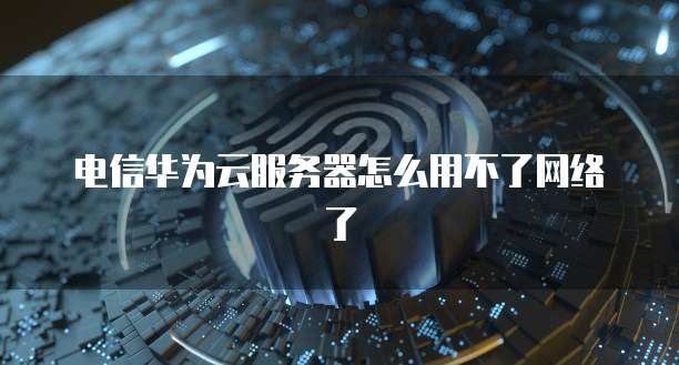 电信华为云服务器怎么用不了网络了
