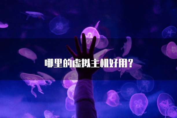 哪里的虚拟主机好用？