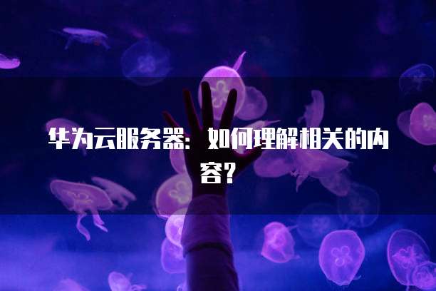 华为云服务器：如何理解相关的内容？