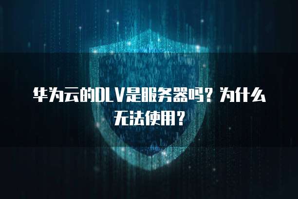 华为云的DLV是服务器吗？为什么无法使用？