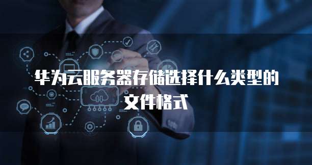 华为云服务器存储选择什么类型的文件格式