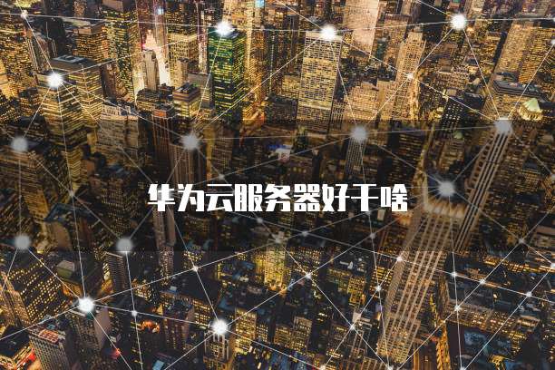 华为云服务器好干啥
